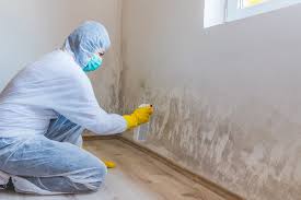 Best Industrial Mold Remediation  in West Newton, PA