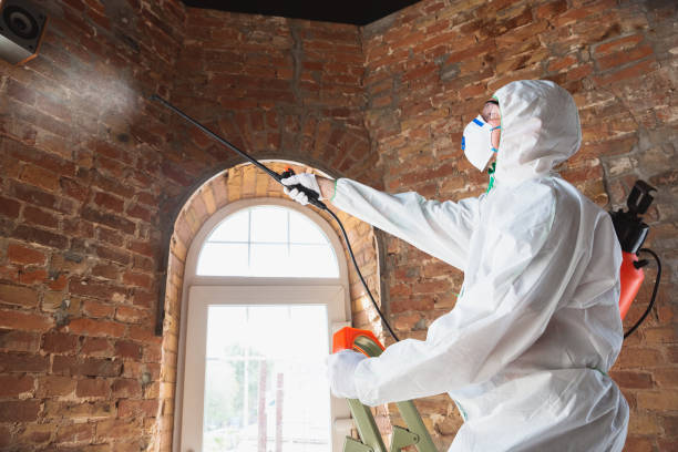 Best Mold Remediation for Vacation Homes  in West Newton, PA